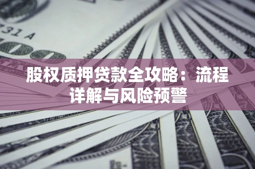 武汉股权质押贷款全攻略：流程详解与风险预警