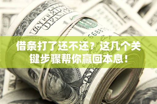 武汉借条打了还不还？这几个关键步骤帮你赢回本息！