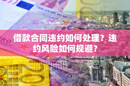 武汉借款合同违约如何处理？违约风险如何规避？