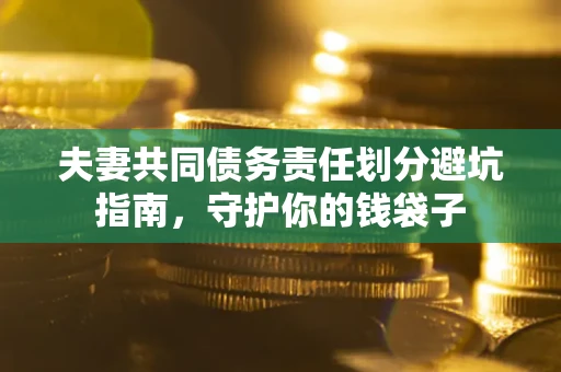 武汉夫妻共同债务责任划分避坑指南，守护你的钱袋子