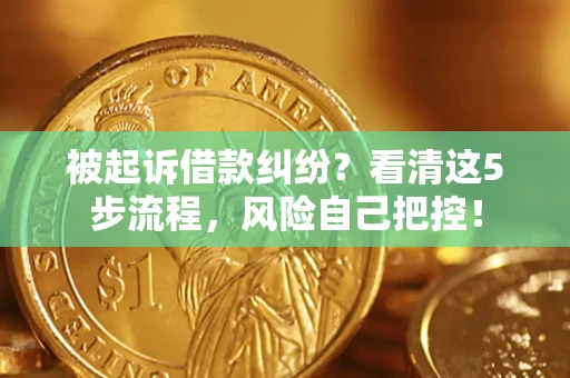 武汉被起诉借款纠纷？看清这5步流程，风险自己把控！