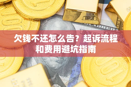 武汉欠钱不还怎么告？起诉流程和费用避坑指南