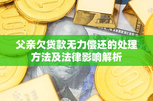 武汉父亲欠贷款无力偿还的处理方法及法律影响解析