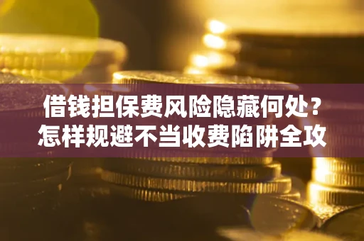 武汉借钱担保费风险隐藏何处？怎样规避不当收费陷阱全攻略！